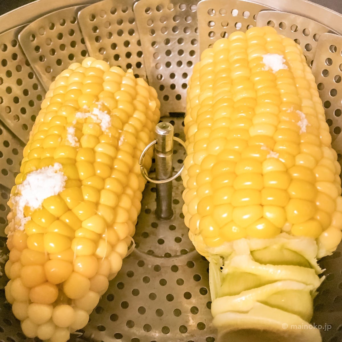 フリーサイズ 蒸し器 (16~24cm用) YH8734