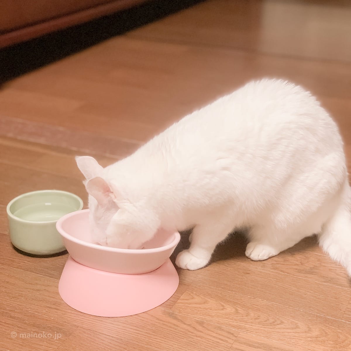 餌皿 ペッツルート フリー食器 さくら