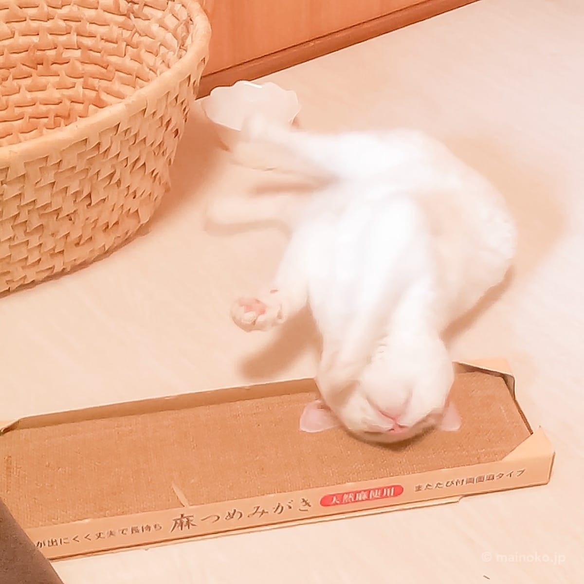 爪とぎ ペティオ (Petio) 麻つめみがき